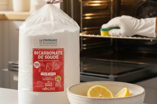 Les 5 conseils pour nettoyer facilement une air fryer duo bicarbonate citron